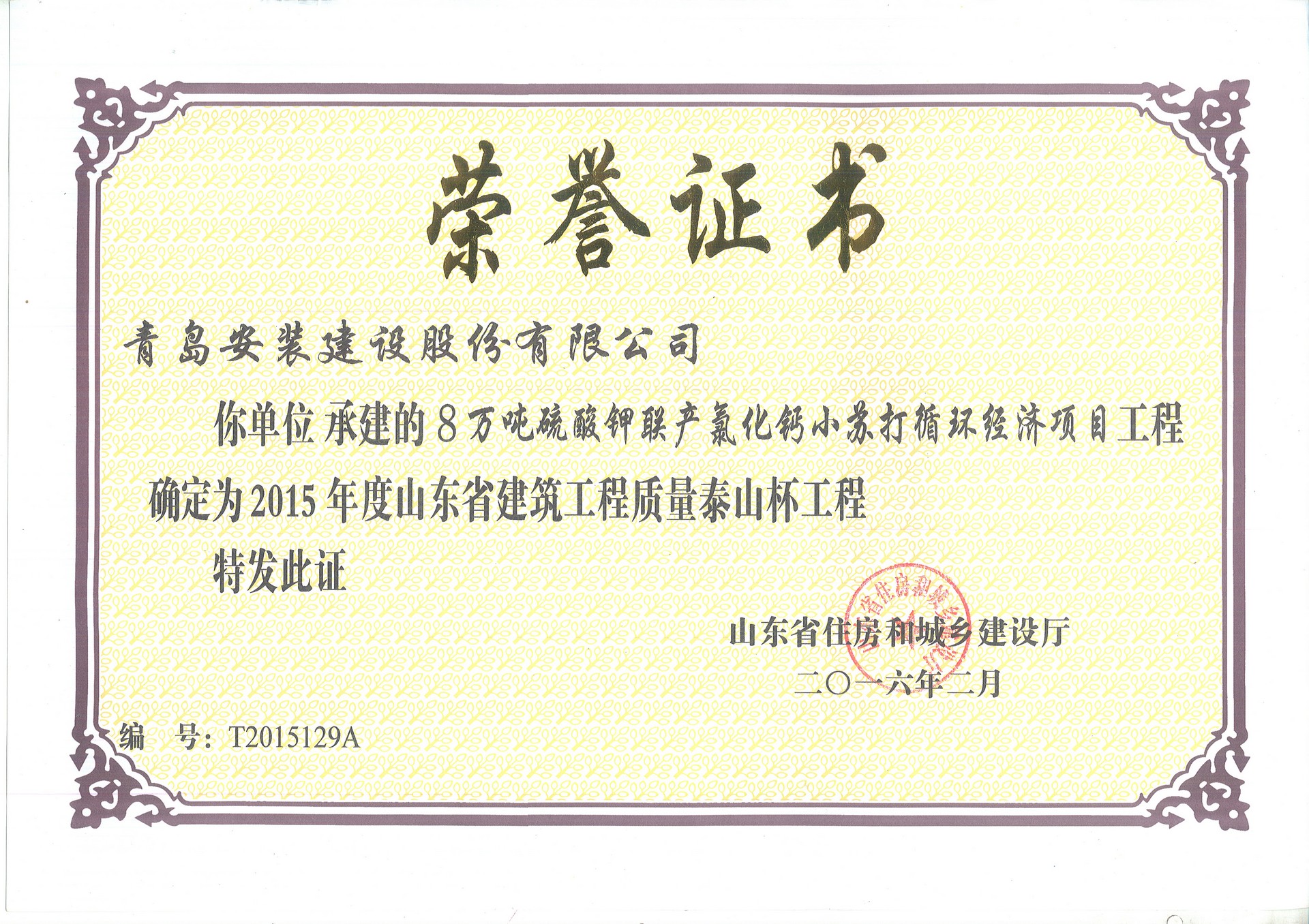 15年泰山杯-8萬噸年硫酸鉀聯產氯化鈣小蘇打循環經濟項目.jpg